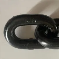 후크가 있는 리프팅 체인