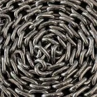 치킨 후크 체인