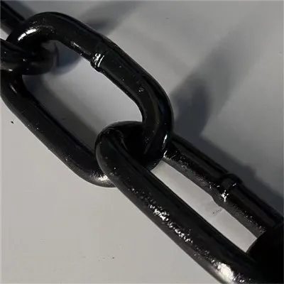 링 모노레일 체인